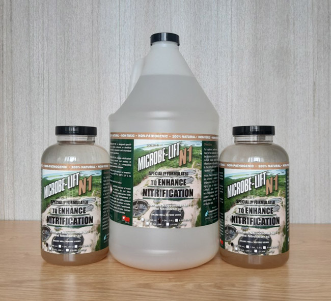 Xử lý nước thải tòa nhà 60m3 đạt chuẩn Cột B sau 4 tuần Xử lý nước thải tòa nhà 60m3 đạt chuẩn Cột B sau 4 tuần