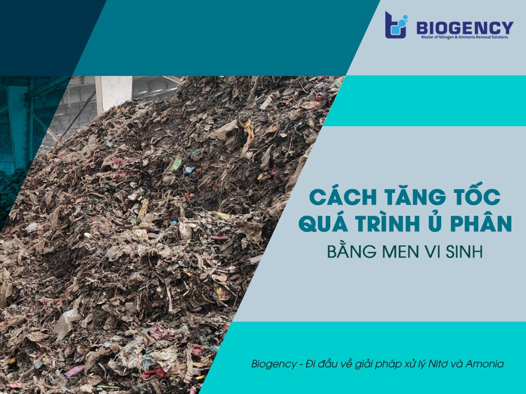 Cách tăng tốc quá trình ủ phân bằng Men vi sinh