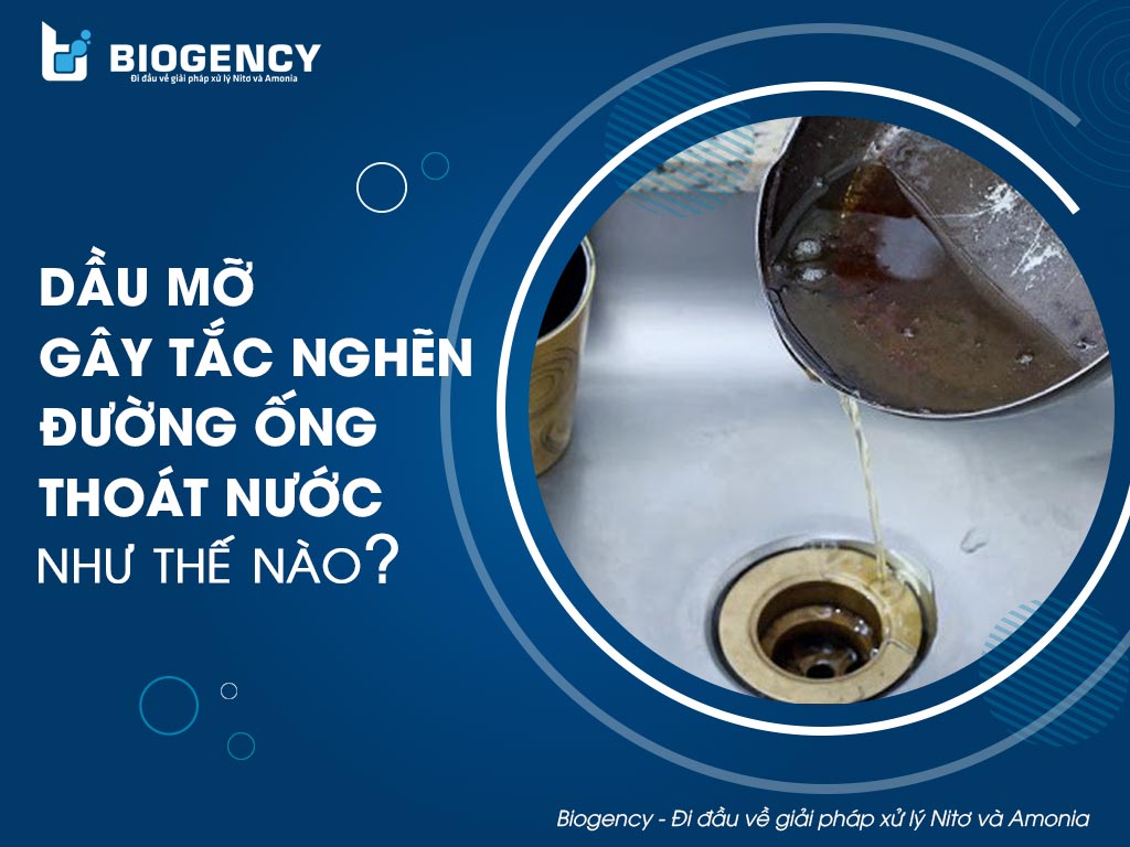 Dầu mỡ gây tắc nghẽn đường ống thoát nước như thế nào?