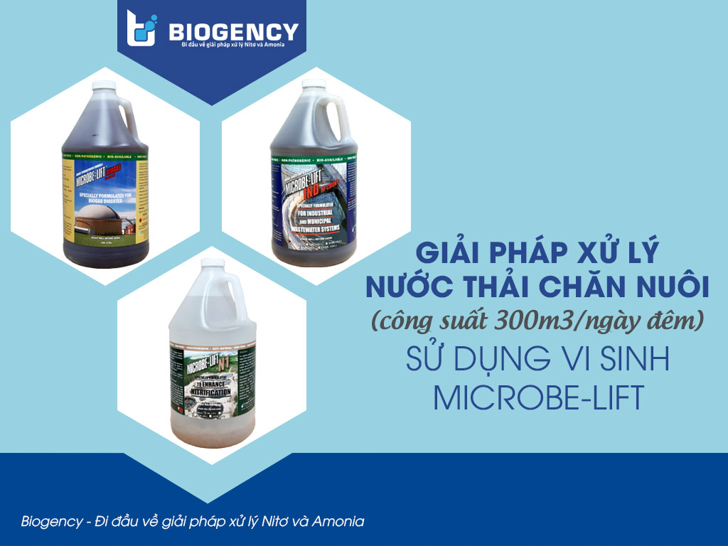 Giải pháp xử lý nước thải chăn nuôi