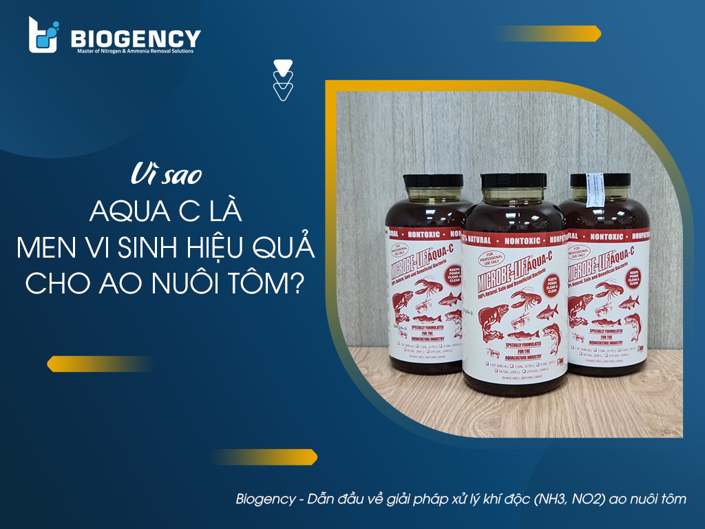 Men vi sinh nuôi tôm hiệu quả Microbe-Lift AQUA C