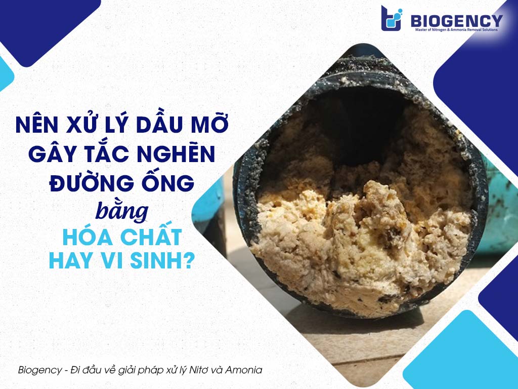 Xử lý dầu mỡ gây tắc nghẽn