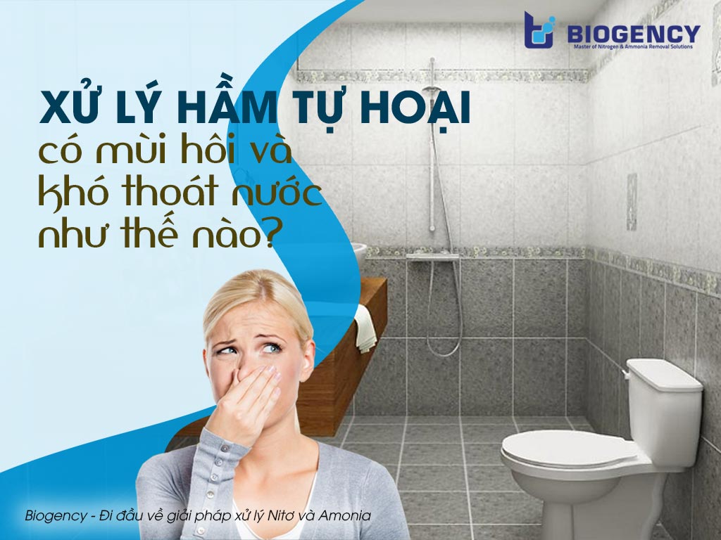 Xử lý hầm tự hoại
