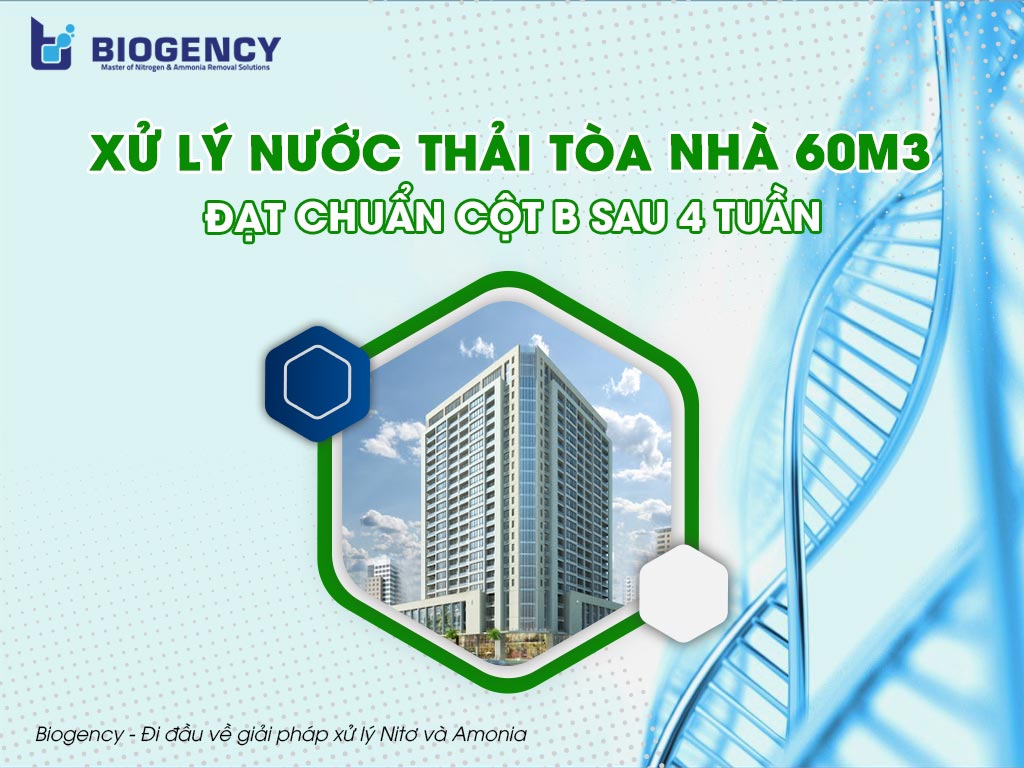 Xử lý nước thải tòa nhà 60m3 đạt chuẩn Cột B sau 4 tuần