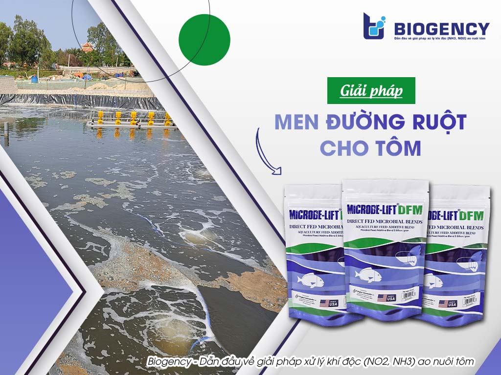 men duong ruot dfm