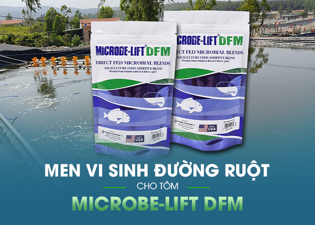 MICROBE-LIFT DFM – Men vi sinh đường ruột cho tôm. men duong ruot dfm
