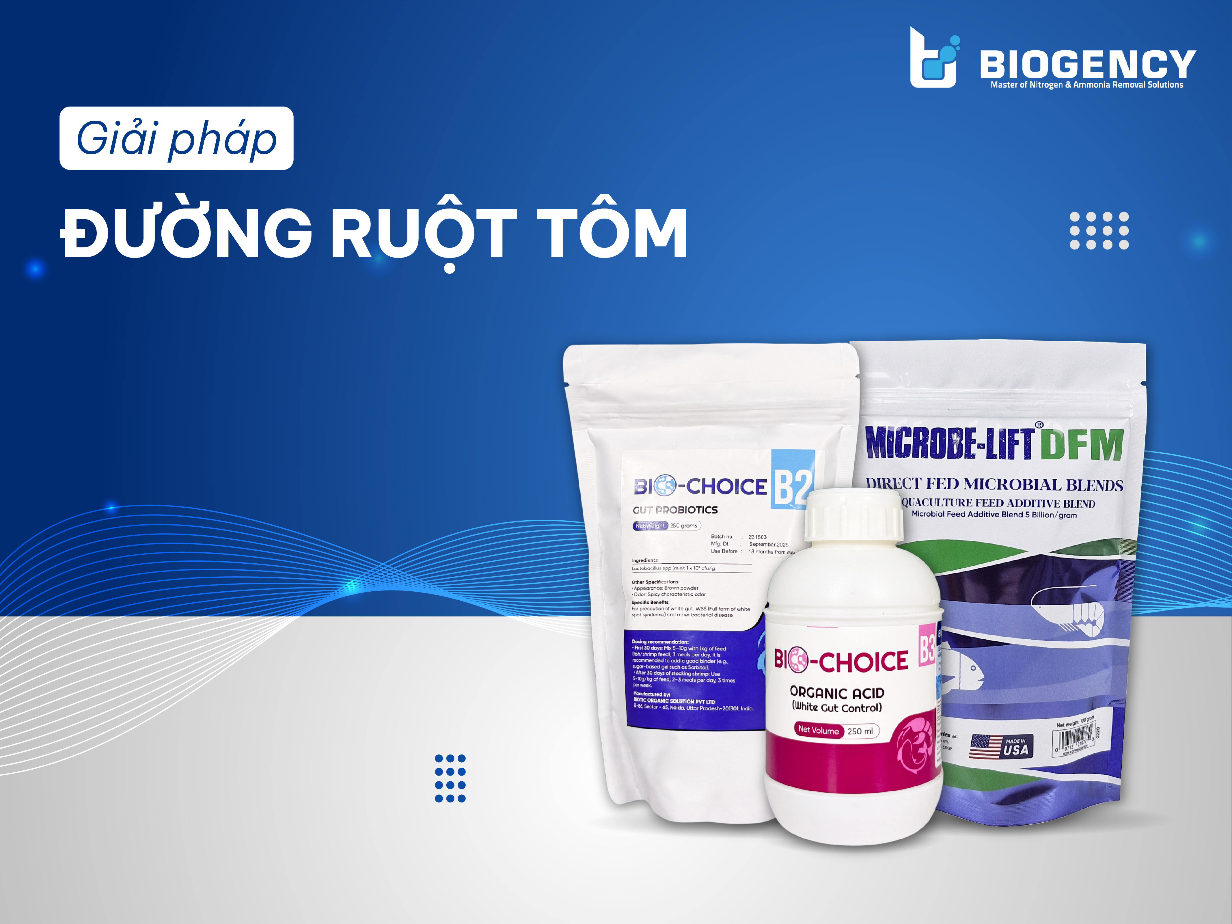 Giải Pháp Cho Đường Ruột Tôm Giải Pháp Cho Đường Ruột Tôm