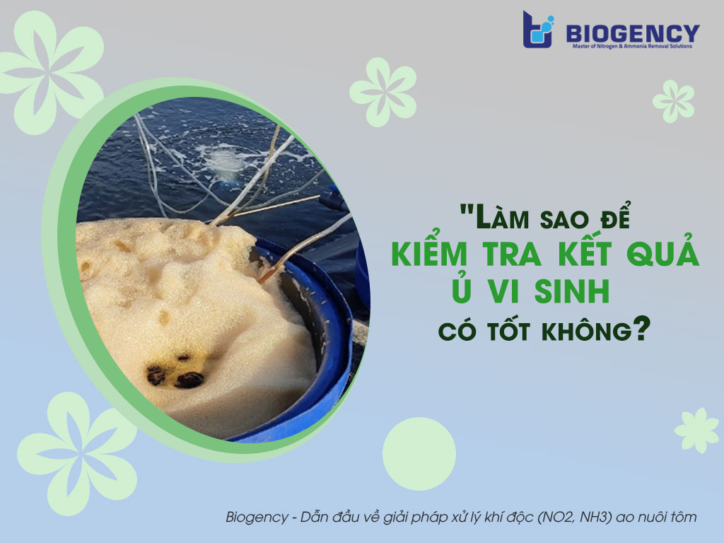 3 cách kiểm tra kết quả ủ vi sinh thủy sản lên men có tốt không
