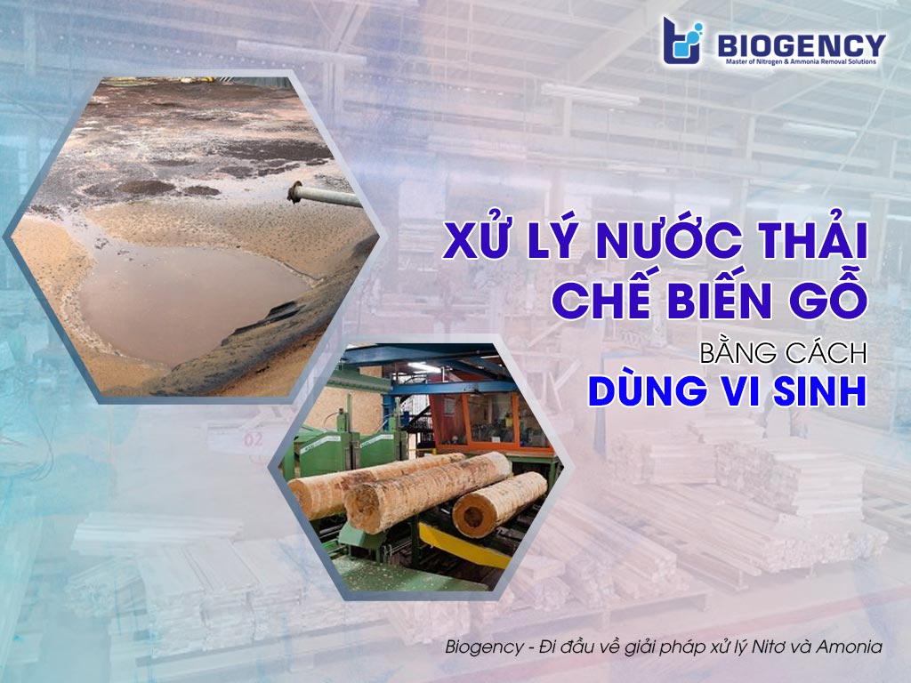 Xử lý nước thải chế biến gỗ bằng cách dùng vi sinh