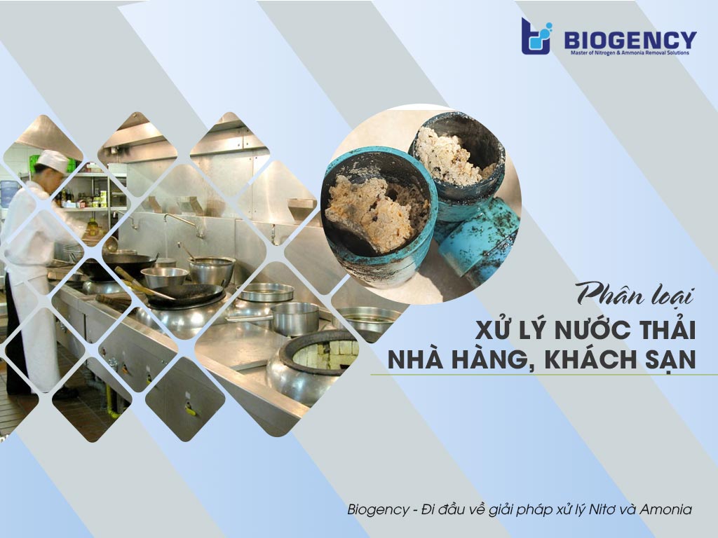 Phân loại xử lý nước thải nhà hàng, khách sạn