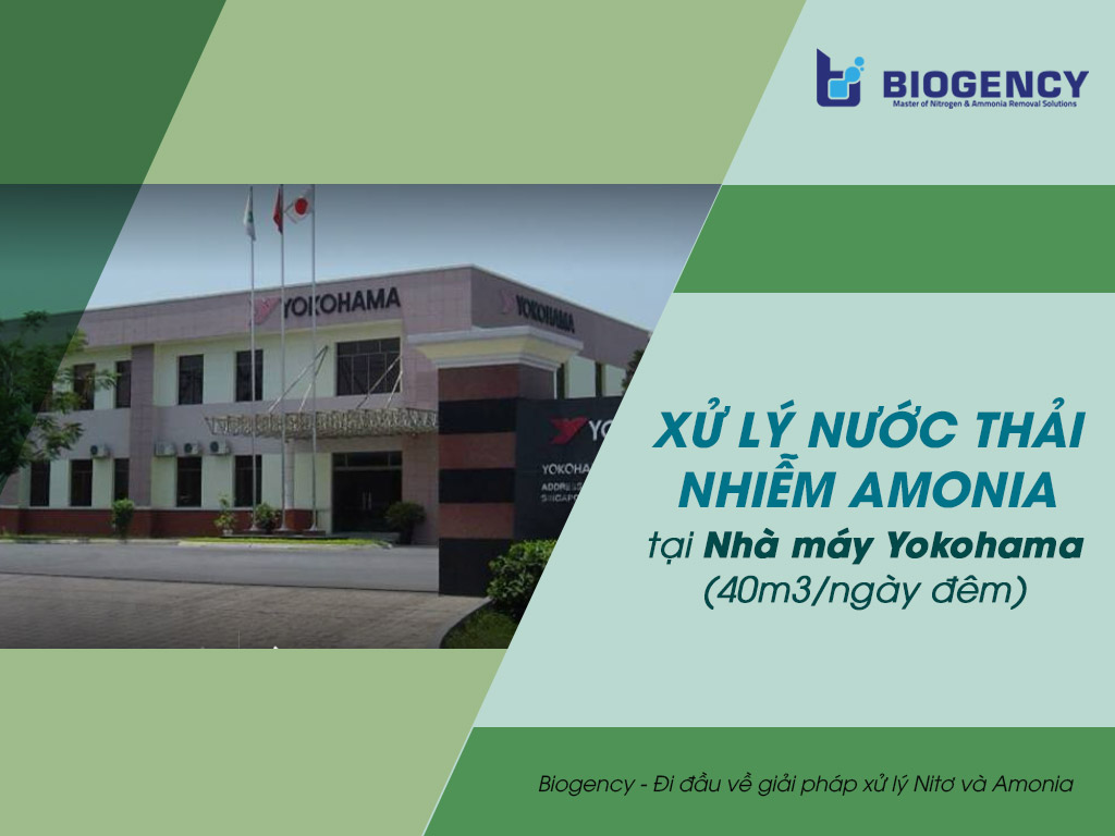 Xử lý nước thải nhiễm Amonia tại Nhà máy Yokohama (40m3/ngày đêm)
