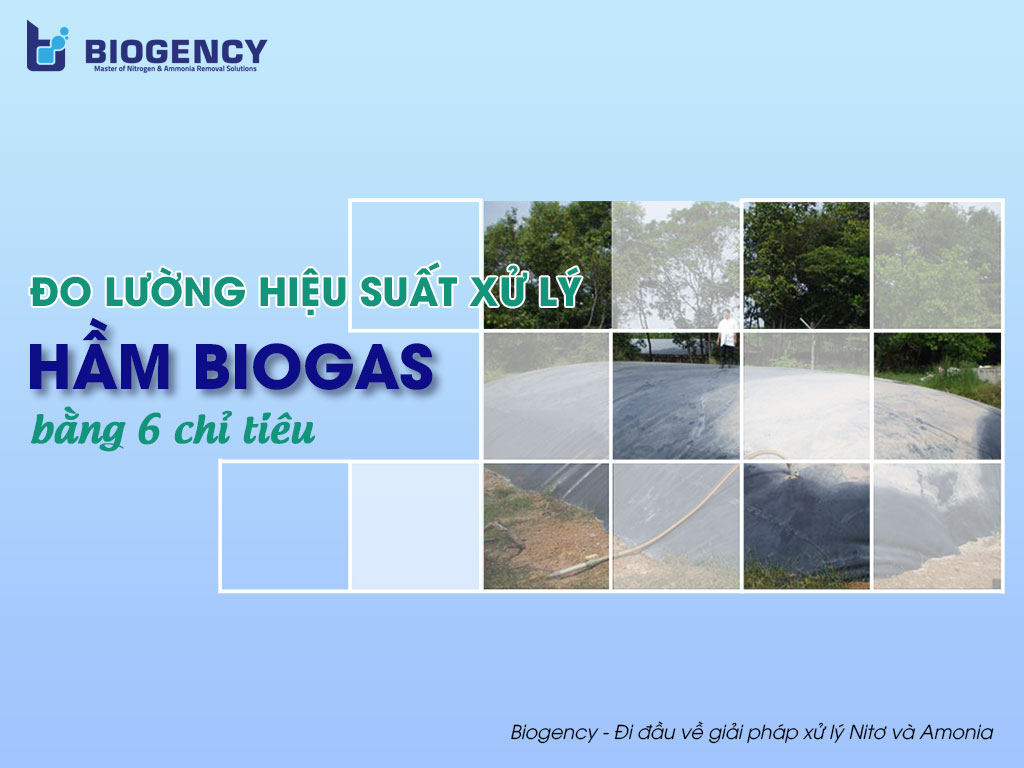 Đo lường hiệu suất xử lý hầm Biogas bằng 6 chỉ tiêu