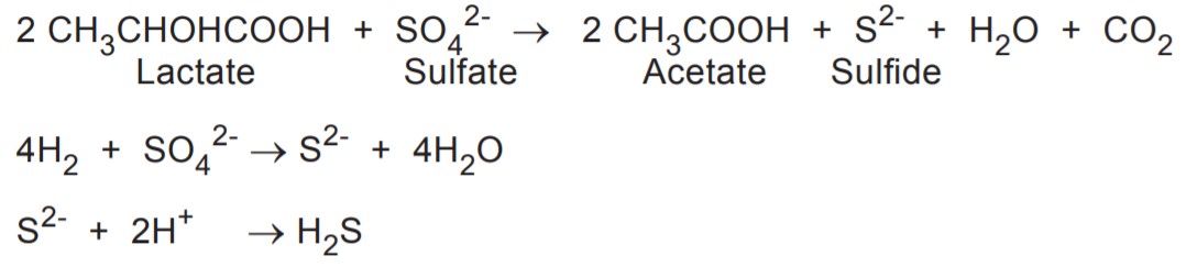 Mùi hôi bãi rác do khí H2S gây ra như thế nào?