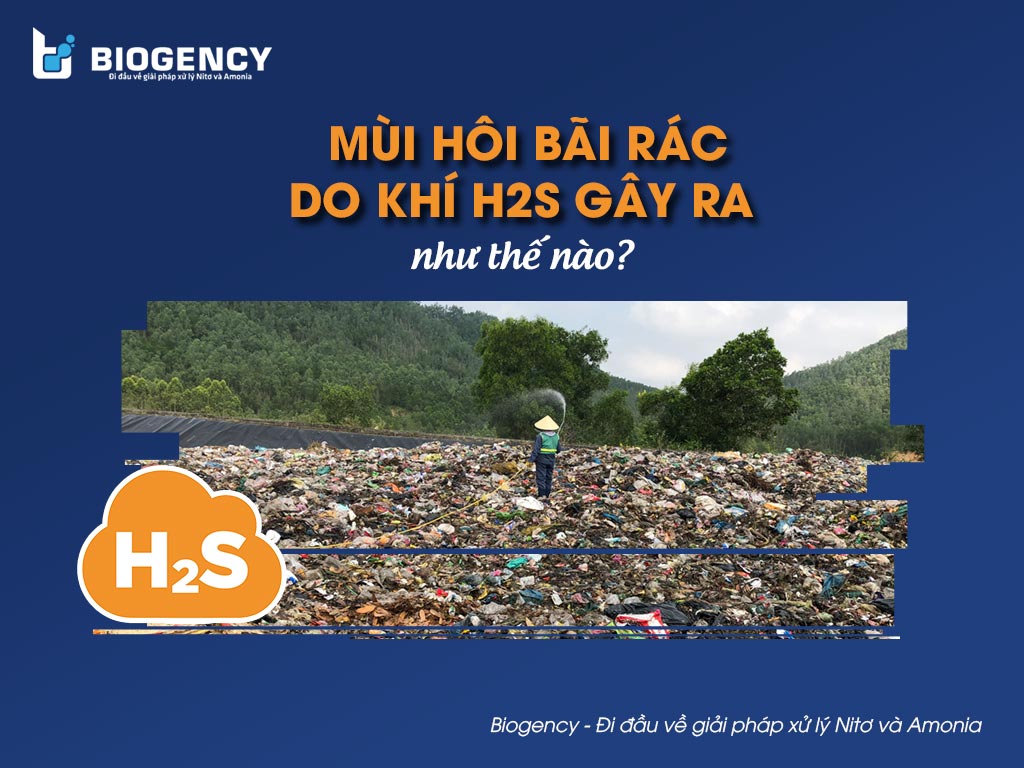 Mùi hôi bãi rác do khí H2S gây ra như thế nào?