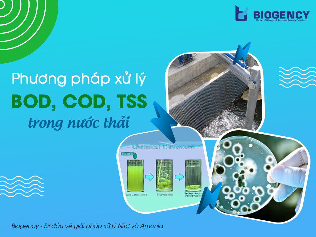 Phương pháp xử lý BOD, COD, TSS trong nước thải