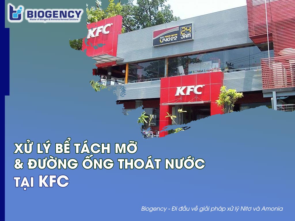 Xử lý bể tách mỡ & Đường ống thoát nước tại KFC