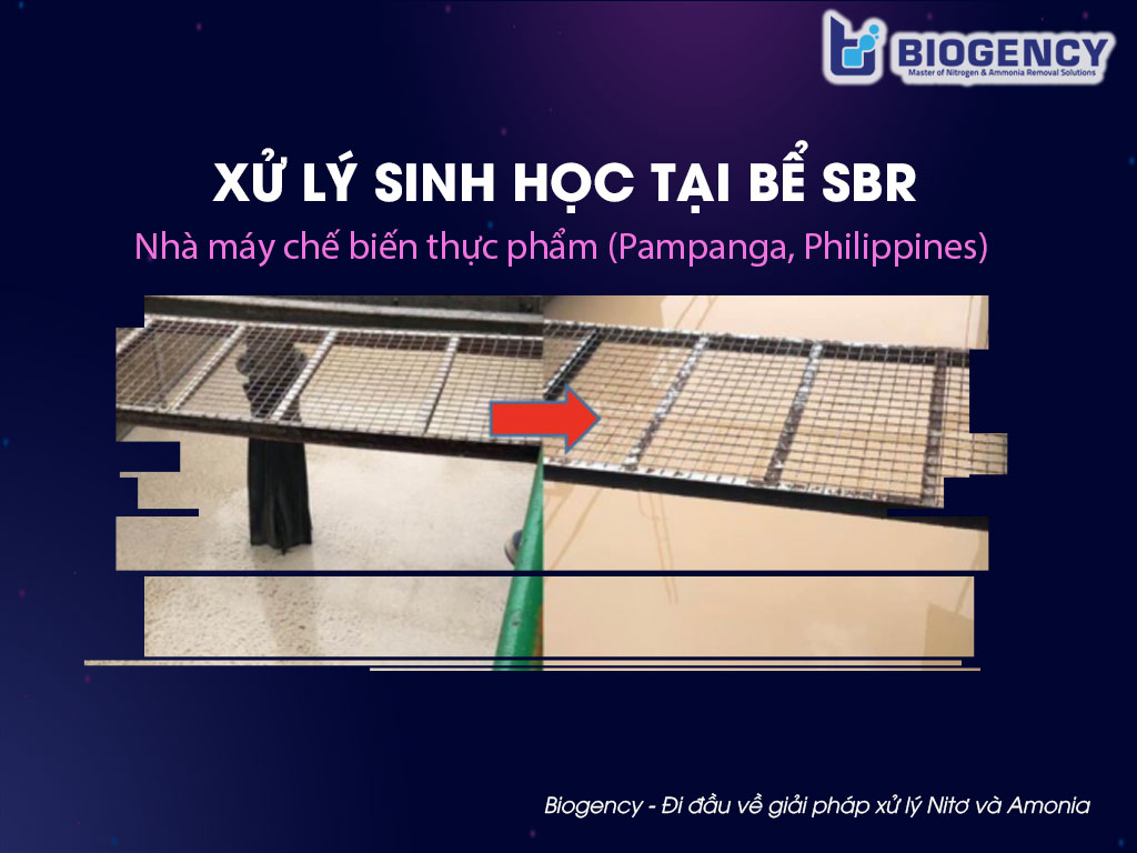 Xử lý sinh học tại bể SBR - Nhà máy chế biến thực phẩm (Pampanga, Philippines)