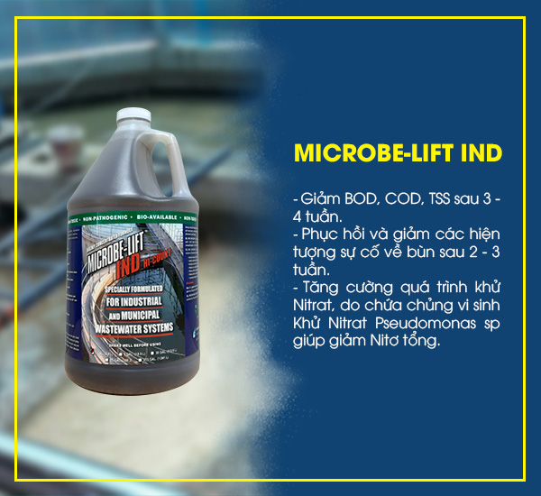 Men vi sinh Microbe-Lift IND cho thấy hiệu quả khi xử lý tốt nồng độ các chất ô nhiễm trong nước thải chế biến cao su.