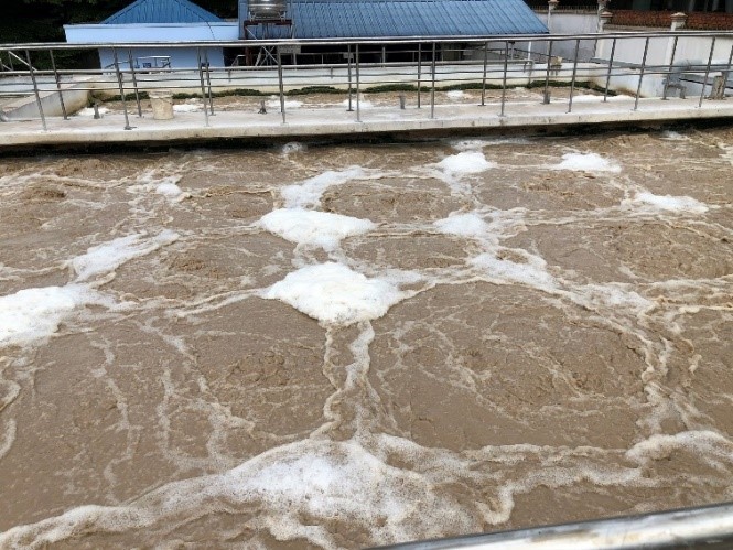 Bể hiếu khí nổi bọt trắng trên bề mặt bể