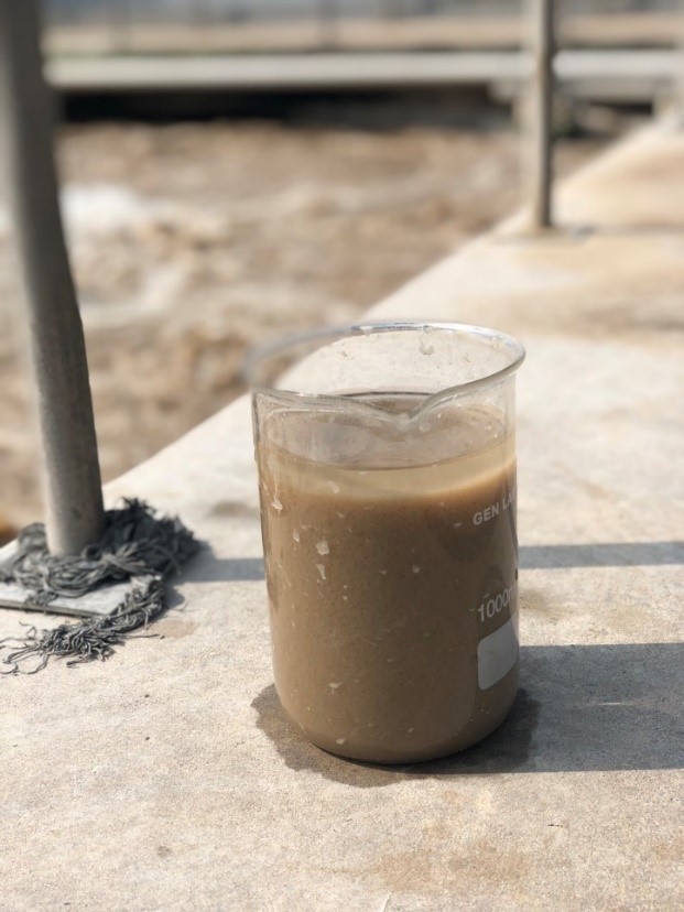 Bùn mịn và lắng chậm