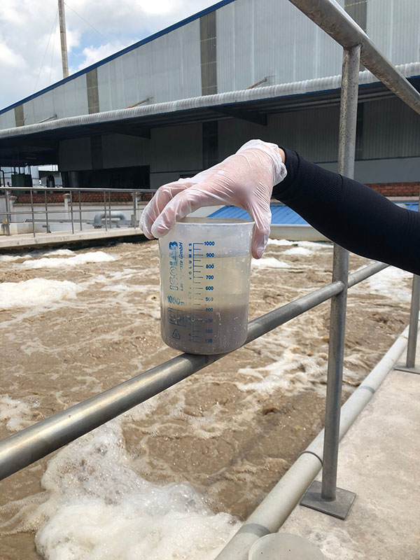 Sau 2 tuần bông bùn to và lắng nhanh hơn