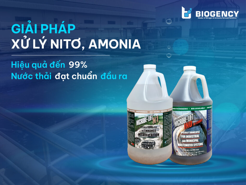 Giải pháp xử lý Nitơ, Amonia