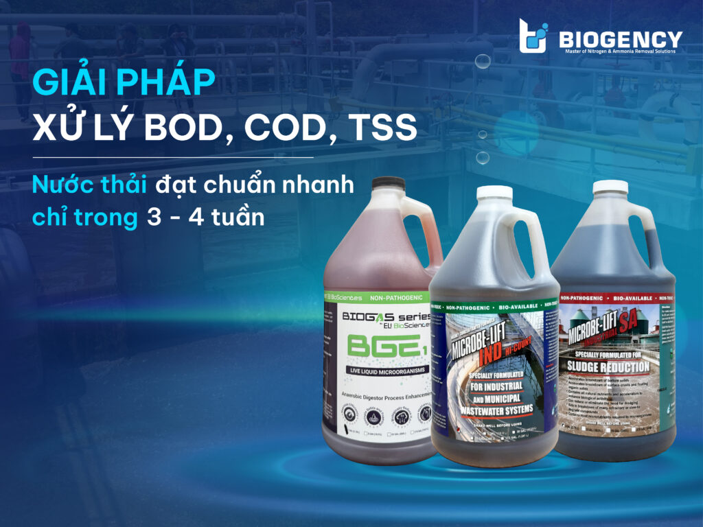 Giải pháp xử lý BOD, COD, TSS