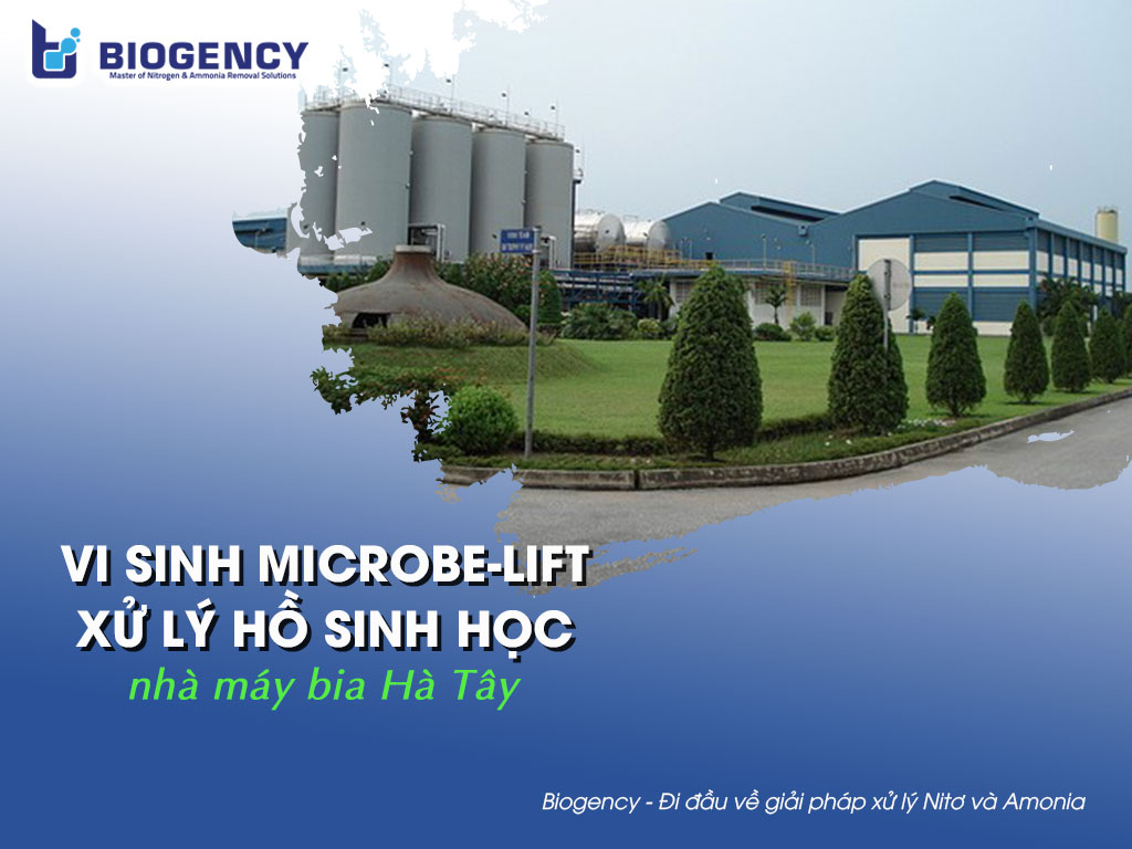microbe-lift xử lý hồ sinh học