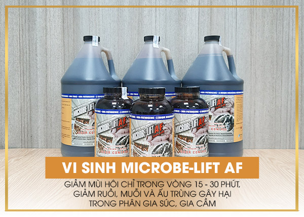 Vi sinh xử lý mùi hôi chăn nuôi Microbe-Lift AF