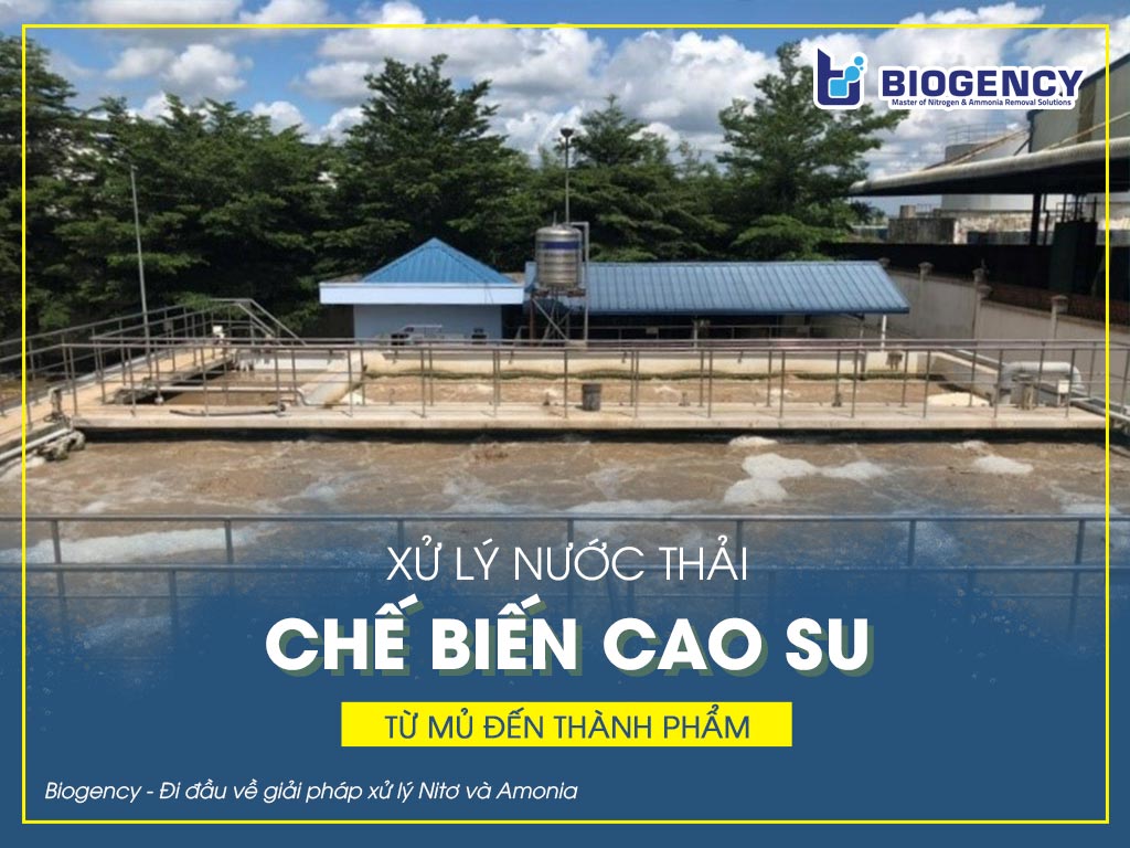 Xử lý nước thải chế biến cao su 
