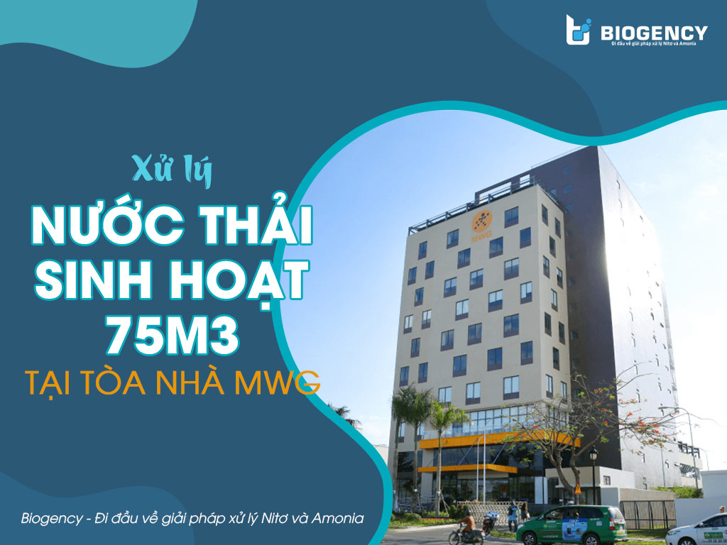 Xử lý nước thải sinh hoạt 75m3 