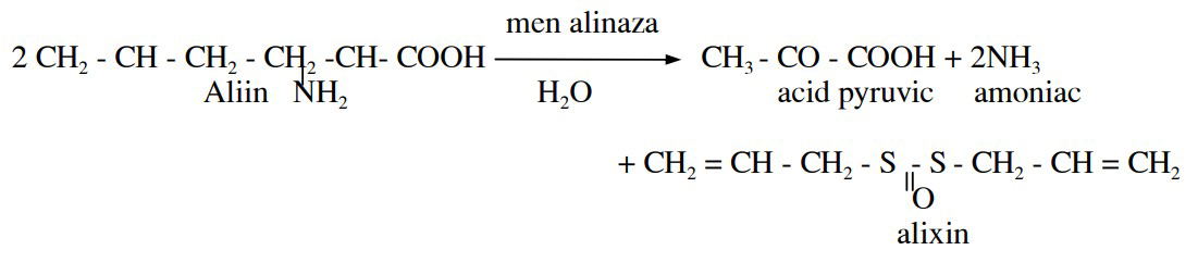 Phòng chữa bệnh cho tôm bằng tỏi Phòng chữa bệnh cho tôm bằng tỏi
