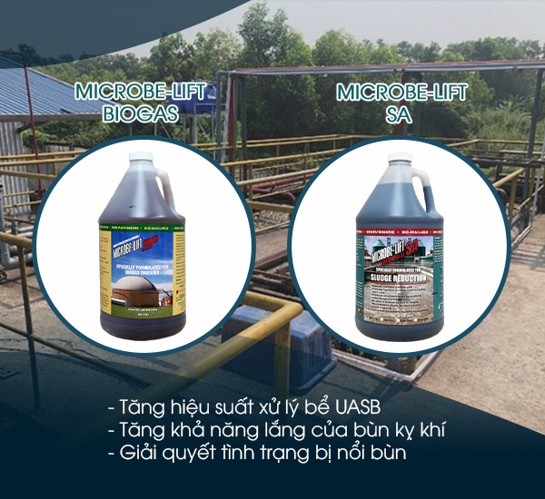 Men vi sinh Microbe-Lift Biogas và Microbe-Lift SA