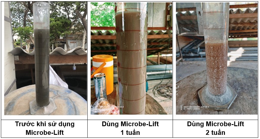 SV30 đo được trước và sau khi dùng vi sinh Microbe-Lift.