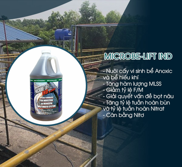 Men vi sinh Microbe-Lift IND