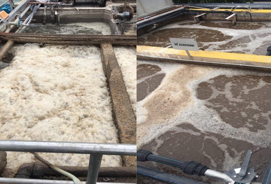 Tình trạng bùn ở bể hiếu khí Aerotank trước và sau khi sử dụng men vi sinh Microbe-Lift IND