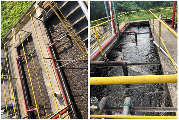 Bể hiếu khí trước (hình trái) và sau (hình phải) khi sử dụng giải pháp của BIOGENCY.