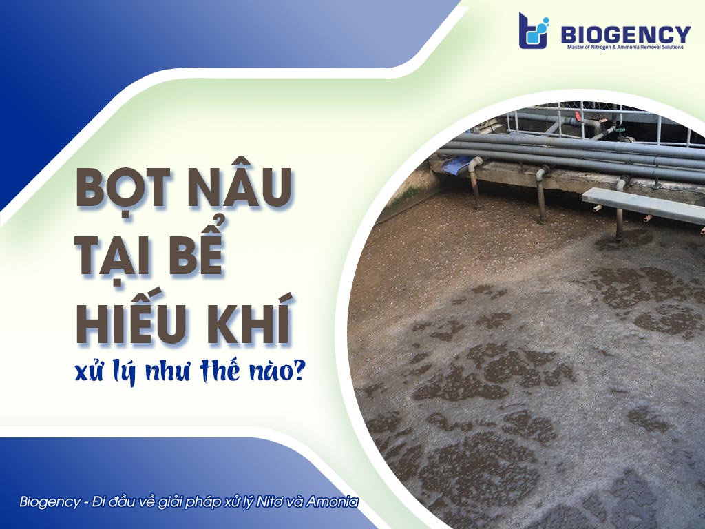 Bọt nâu tại bể hiếu khí