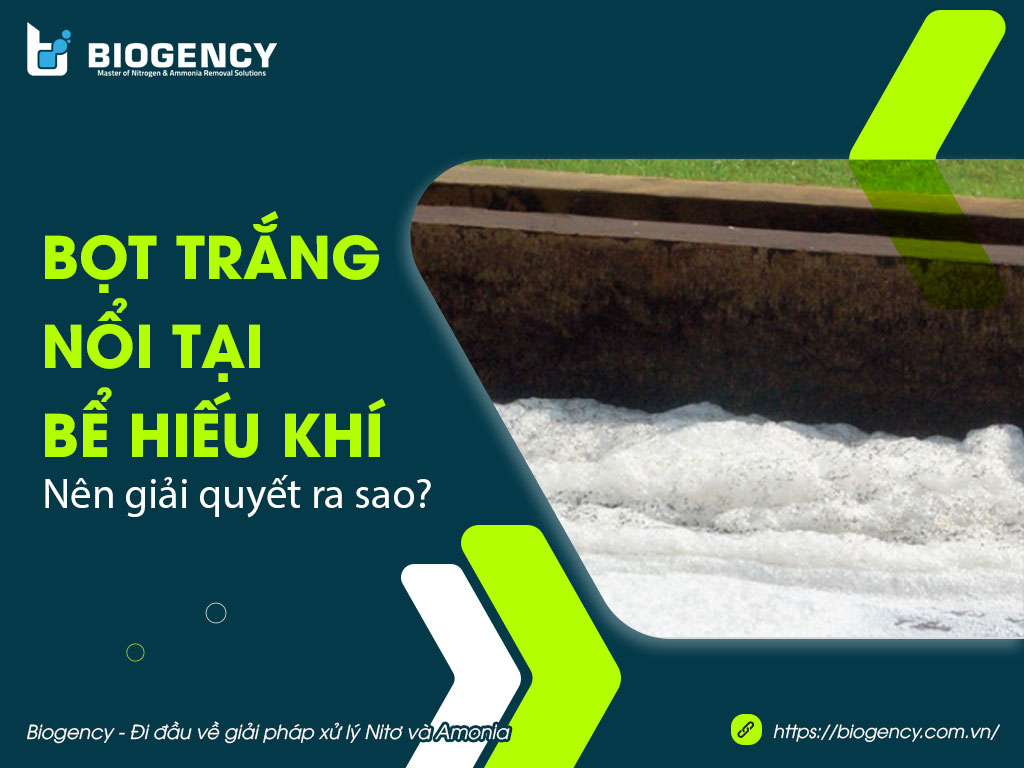 bọt trắng nổi tại bể hiếu khí