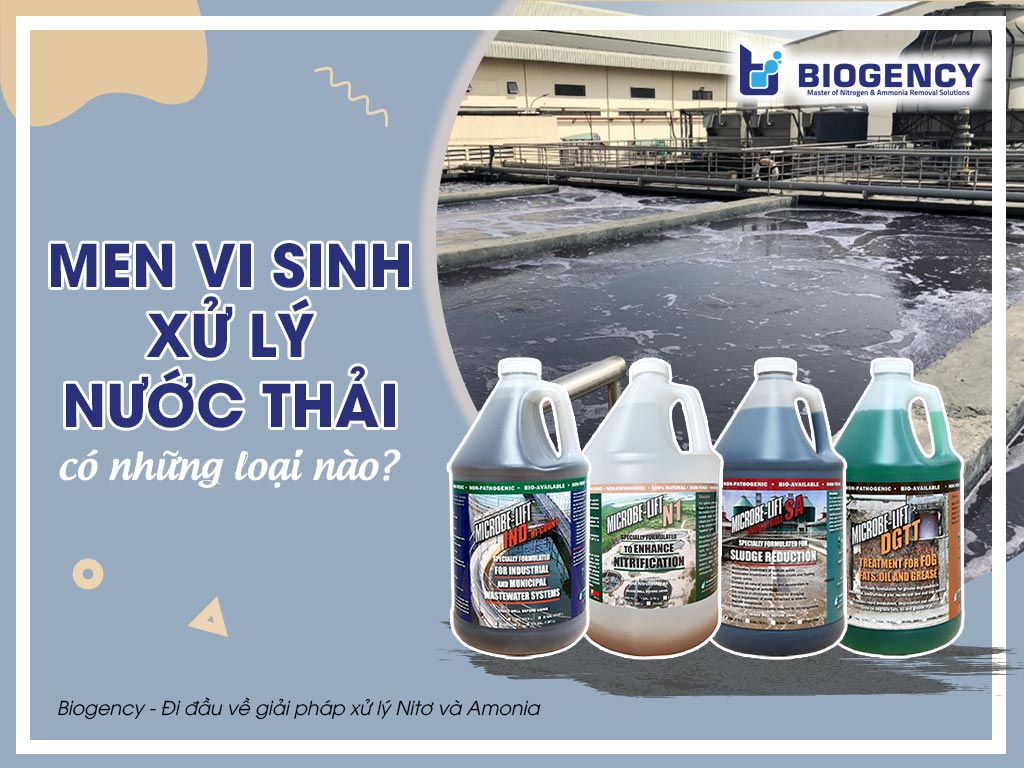 Men vi sinh xử lý nước thải