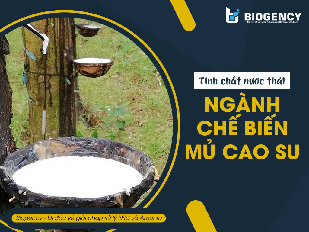 Nước thải chế biến mủ cao su