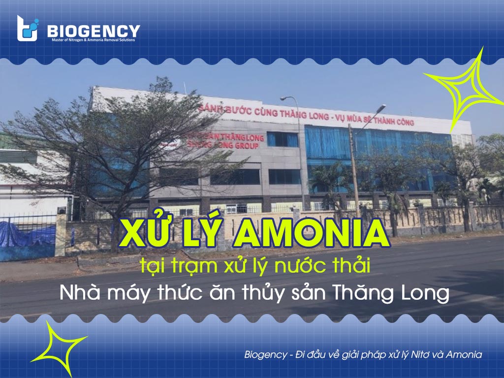 Xử lý Amonia nhà máy thức ăn thủy sản 