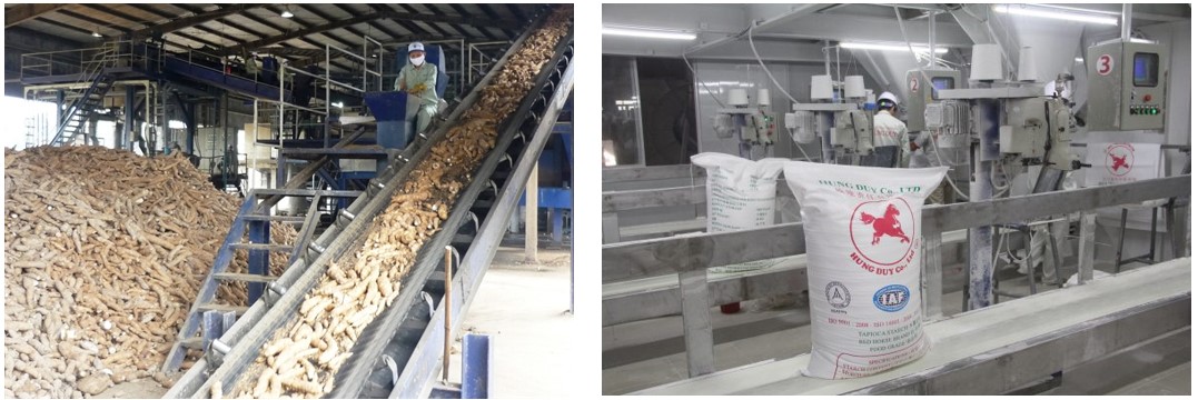 Một số công đoạn trong quy trình sản xuất tinh bột mì