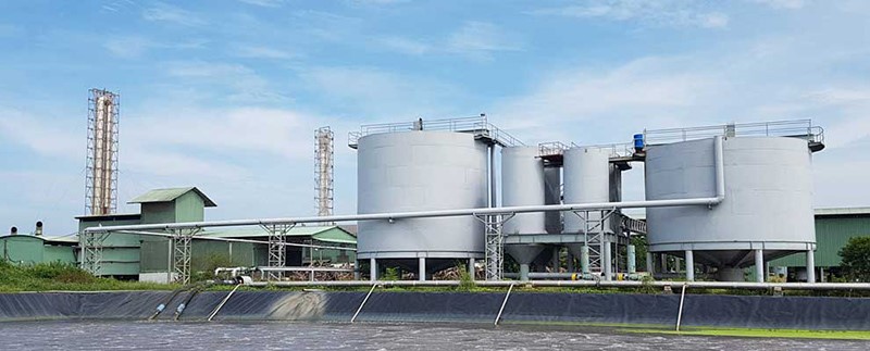 Nhà máy sản xuất tinh bột mì.