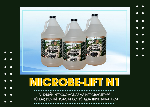 Microbe-Lift N1 - Thúc đẩy quá trình Nitrat hóa hiệu quả
