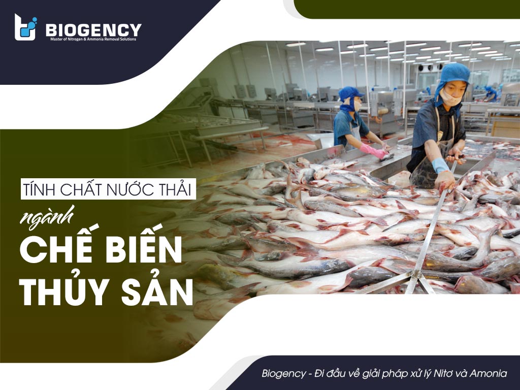 nước thải chế biến thủy sản