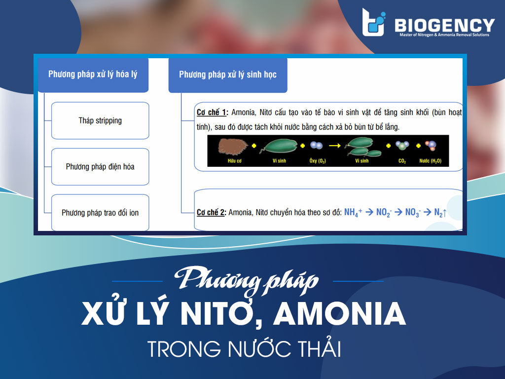 phương pháp xử lý nitơ