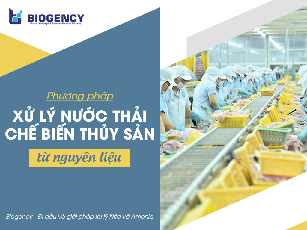 phương pháp xử lý nước thải chế biến thủy sản