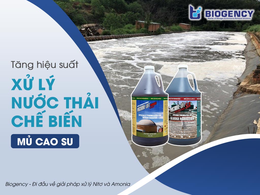 xử lý nước thải chế biến mủ cao su