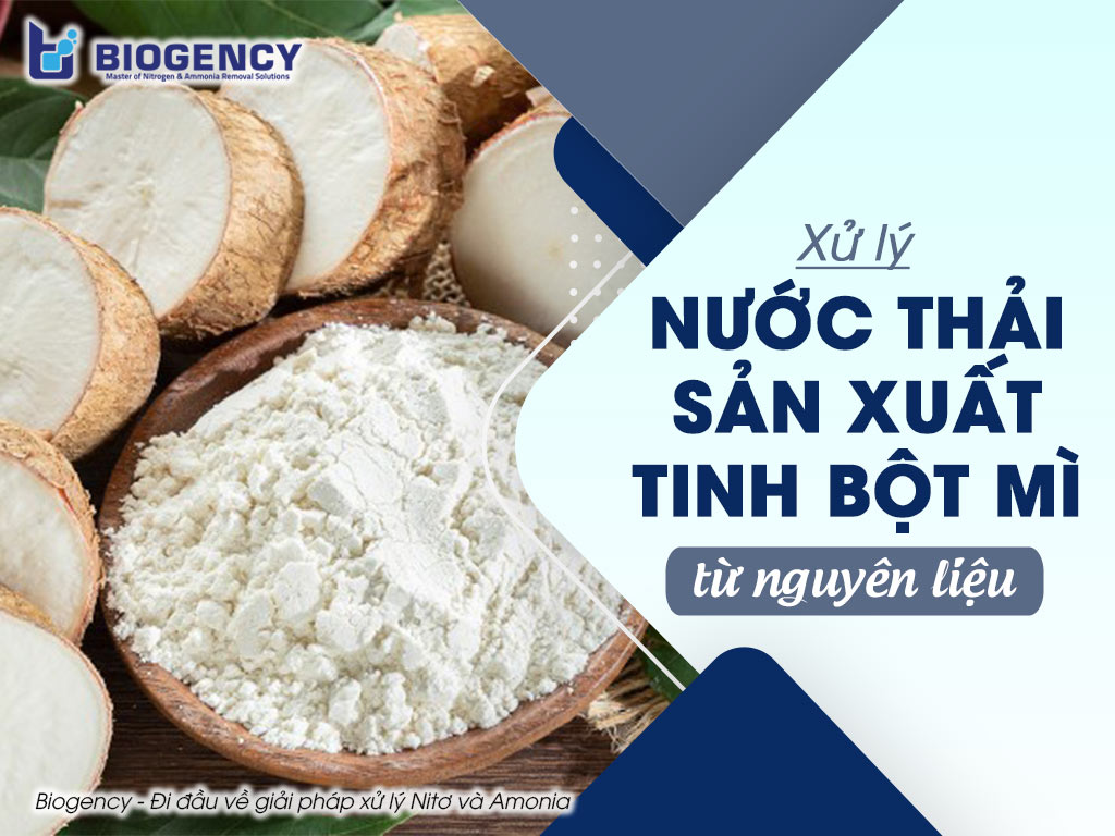 xử lý nước thải sản xuất tinh bột mì